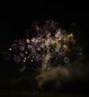 USA, Indiana, Carmel. July 4th fireworks. Art Print